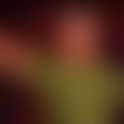 Pourquoi la Zumba fait autant de bien ?