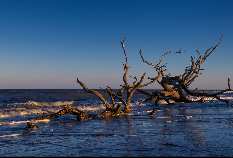 The Golden Isles: A Perfect Place to Call Home—or Invest in a Vacation Rental