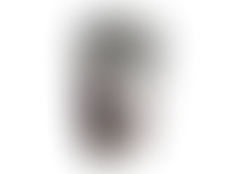  4 DOOR VERTICAL REFRIGERATOR MANUFACTURER IN MUMBAI.