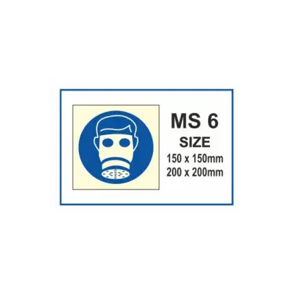 MS 06