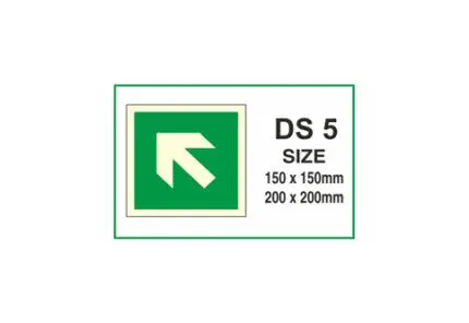 DS 005