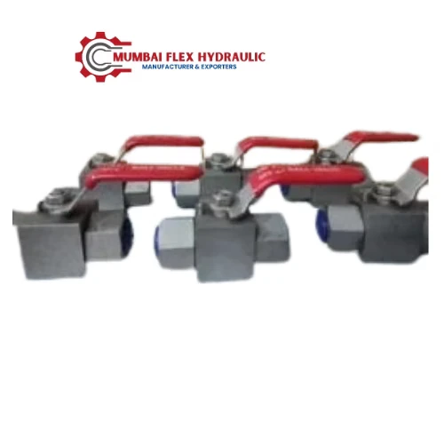 Ss Ball Valve