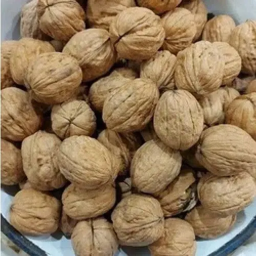 walnut-kernels-inshell-28-30-500x500