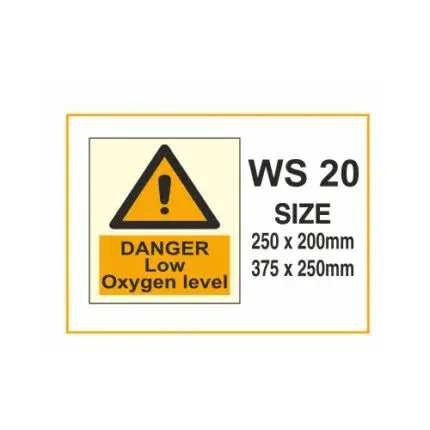 WS 20
