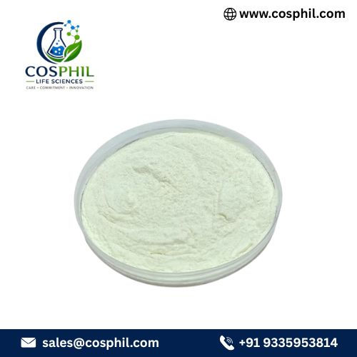 Lactobacillus Bulgaricus Probiotics