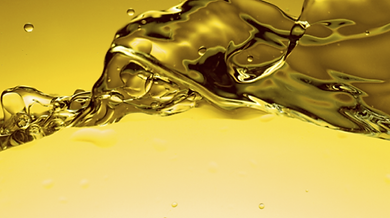 Untitled design - 2025-10-31T130923.070.png