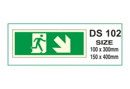 DS 102