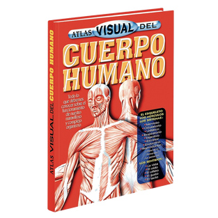 cuerpohum.png