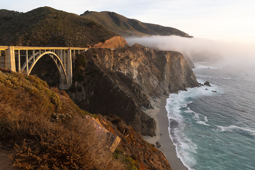 World Perfumery Congress