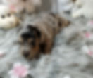 Screenshot_20230325-231608_Gallery