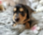 Screenshot_20230325-231129_Gallery