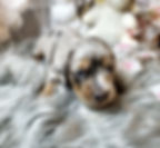 Screenshot_20230325-231435_Gallery