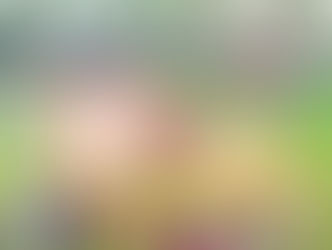 Assim foi a Festa do Campeão 🥇 🏆 da Se7en Cup | Astroworld FC