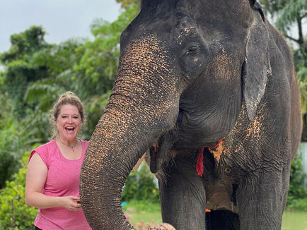 Elephants & Nightlife Phuket - 9 July 2023