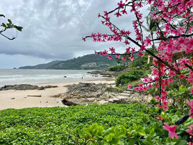Patong Beach & Shopping - 14 July 2023