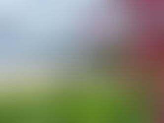 Patong Beach & Shopping - 14 July 2023