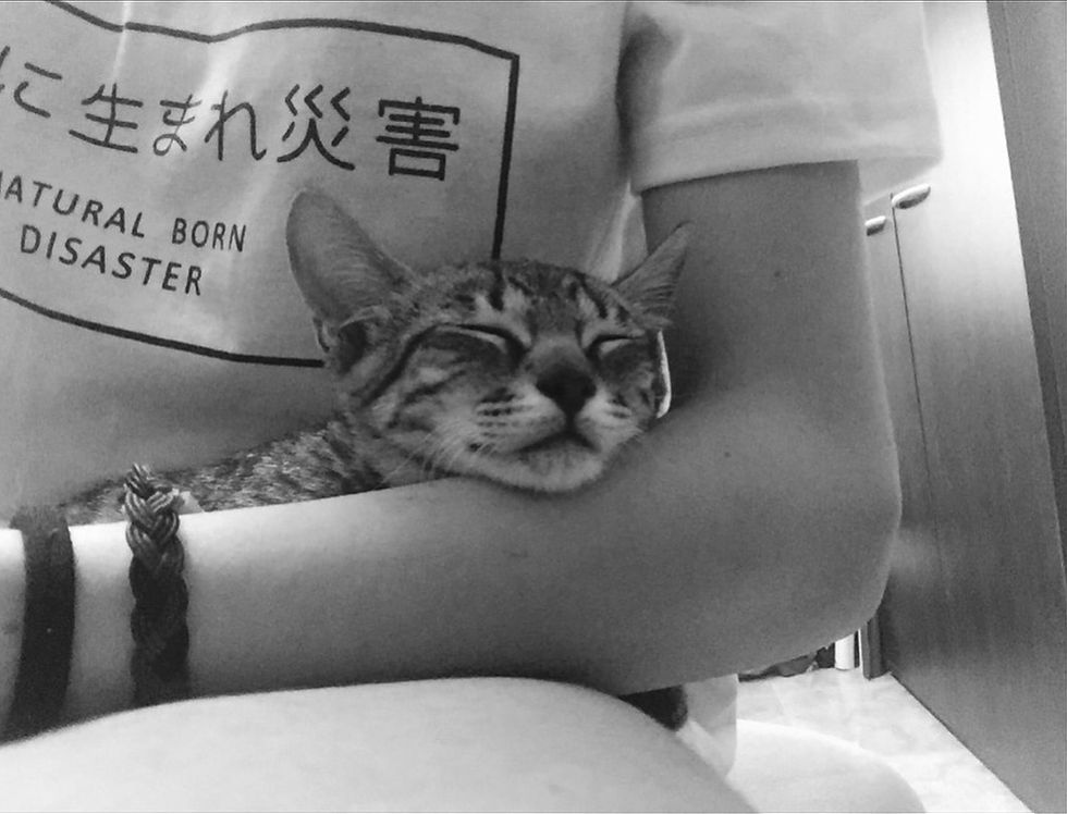 WhatsApp Image 2018-11-19 at 14.15.36