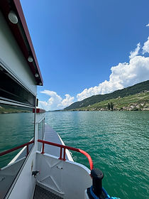 IMG_2950.JPG