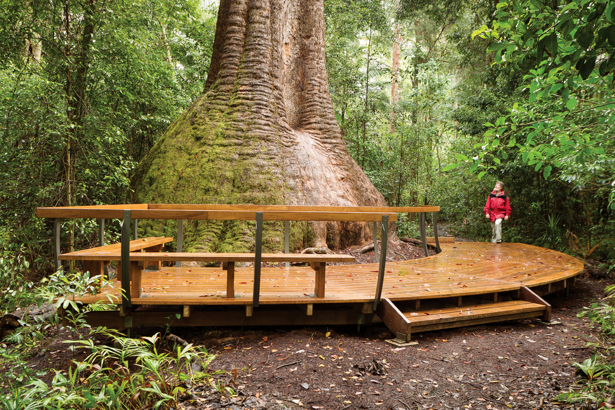 Bottlebutt Bash Trail Run Bbtr19 Cttr