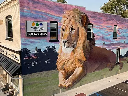 Leo-Cedarville Electricians