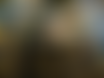 Investigating the Fauna of the Outback