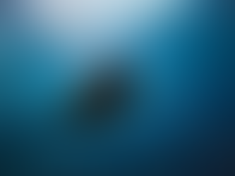 Novel Lifestyle Travel Experiences in Japan Demand Genuine Expertise