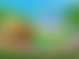 Burger King Invites You to Dip Your Whopper in Ranch Dressing