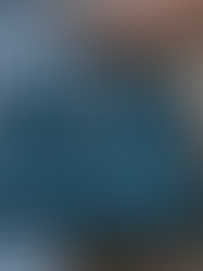 Hermès Prevails in Second Class-Action Lawsuit Concerning the Birkin