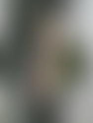 Cecilie Bahnsen Prepares Initial Collaborative Capsule with PORTER