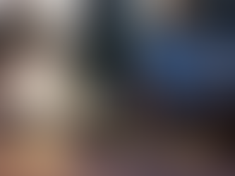 Procedure for Purchasing a Residence in Ottawa in 2024