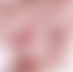 Prada Beauty Names Bella Hadid as Its First Global Ambassador