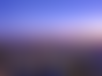 Restaurants in NYC Worth the Indulgence