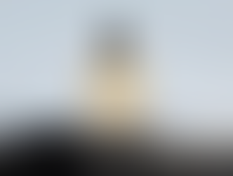 The Veritable Essence of Burberry Hero