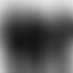 Where Fashion Meets Cultivation: WILDSIDE Yohji Yamamoto x TRADMAN’S BONSAI