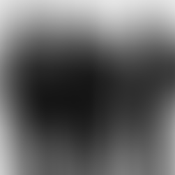 Where Fashion Meets Cultivation: WILDSIDE Yohji Yamamoto x TRADMAN’S BONSAI