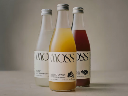 Michael B. Jordan Launches Sea Moss Beverage Brand MOSS