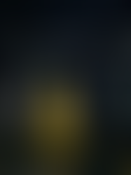 Inside Azzedine Alaïa’s Dior Collection at La Galerie Dior