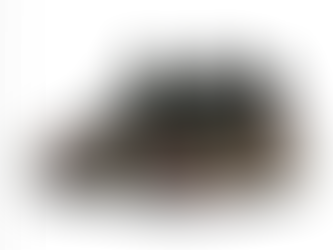 Nike Revives the Air Foamposite One in “Floral” Holiday 2026