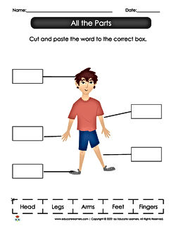 Cut and Paste, Object Identification, Matching