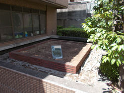 防草シート敷設