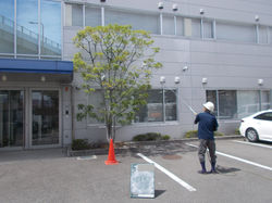 薬剤散布