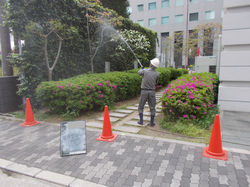 薬剤散布
