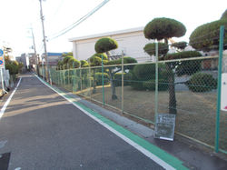 防草シート敷設