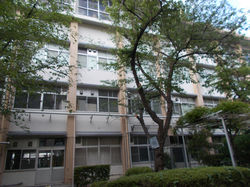伐採