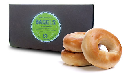 YH Fresh Bagels