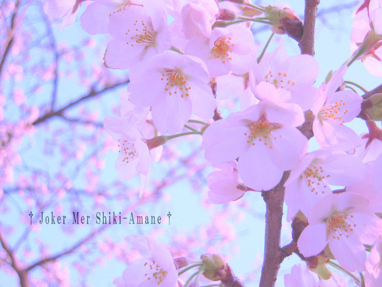 DSCN1136s.JPG