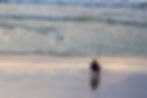 Fishing The Atlantic