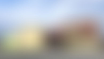 Opportunity in Elmwood