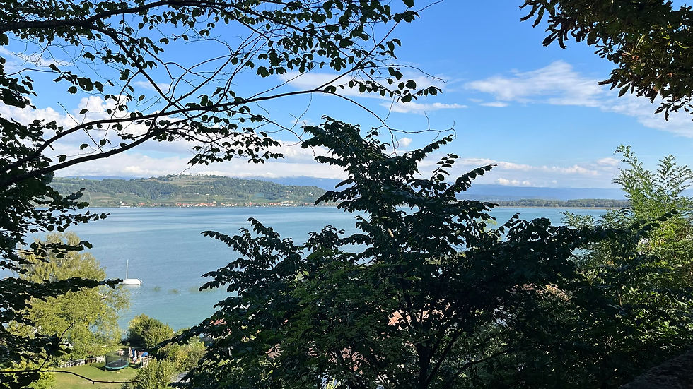 Unser diesjähriger Tagesausflug führte uns via Brünig und das Berner Oberland nach Murten.