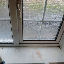 clean bathroom windows